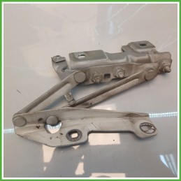 Cerniere Cofano Anteriore Destro DX OPEL INSIGNIA G09 5 Porte 12841601 2008 2013