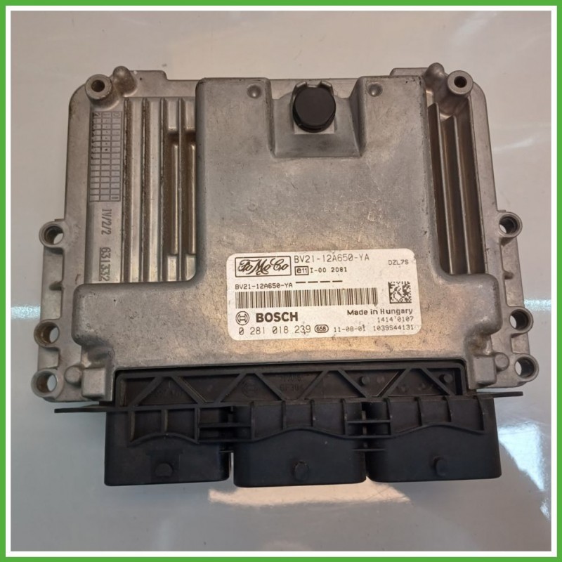 Centralina Motore Iniezione ECU BOSCH 0281018239 FORD FIESTA CB1 1.4 52kw 1696531 2008 2013