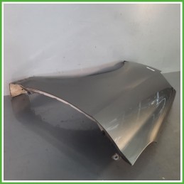 Parafango Anteriore Sinistra SX KIA PICANTO 1a Serie Berlina 2008 2011 GRIGIO Originale Usato