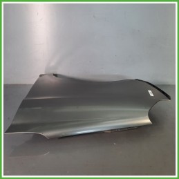 Parafango Anteriore Sinistra SX KIA PICANTO 1a Serie Berlina 2008 2011 GRIGIO Originale Usato