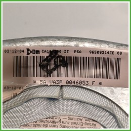Airbag Guidatore Sinistro SX CITROEN C5 2.0 4112HC 2004 2008 DM DALPHIMETAL