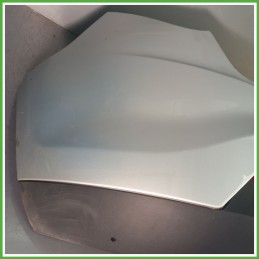 Paraurti Posteriore FIAT BRAVO 3L Berlina GRIGIO CHIARO 735443852 2007 2010 Originale Usato
