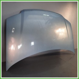 Cofano Motore AZZURRO LAGOON VR 792 FIAT PANDA 3U 2009 2011 Berlina Originale Usato