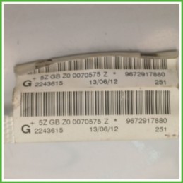 Airbag Laterale Sinistro SX PEUGEOT 208 1.4 8V 9804092380 2012 2015 AUTOLIV 0080.P1.10.0019
