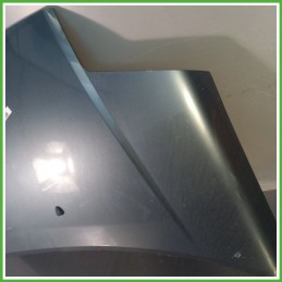 Cofano Motore GRIGIO SCURO GRIS FER EZW CITROEN C2 2003 2010 Berlina Originale Usato