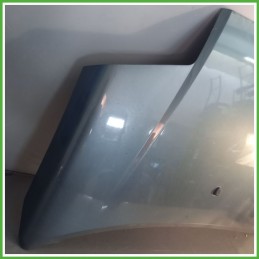 Cofano Motore GRIGIO SCURO GRIS FER EZW CITROEN C2 2003 2010 Berlina Originale Usato