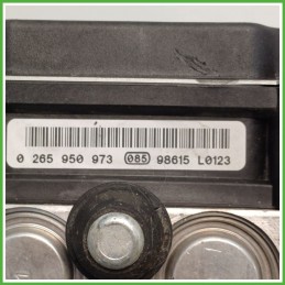 Centralina ABS Modulo Pompa BOSCH 0265950973 71746430 FIAT GRANDE PUNTO 2Y Originale Usato