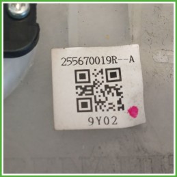 Comandi Devioguida RENAULT SCENIC 3a Serie 1.6 16V 255670019R