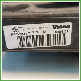 Faro Fanale Proiettore Anteriore Sinistro SX VALEO 89005132 PEUGEOT 206 620863 Usato