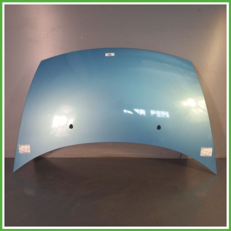 Cofano Motore AZZURRO CITROEN C3 2a Serie 2005 2010 Berlina Originale Usato