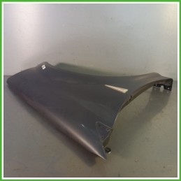Parafango Anteriore Destra DX RENAULT MEGANE 2a Serie Berlina 2002 2006 GRIGIO Originale Usato
