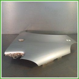 Parafango Anteriore Sinistra SX MERCEDES-BENZ Classe A W168 Berlina 2001 2004 GRIGIO CHIARO Originale Usato