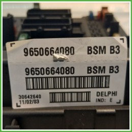 Body Computer Centralina Modulo BCM BSI DELPHI 30642640 PEUGEOT 206 1.1 9650664080 1998 2009