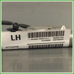Airbag Laterale Sinistro SX PEUGEOT 408 9830981480 2022 AUTOLIV 648798800H