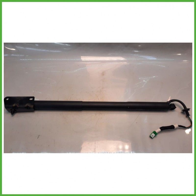 Ammortizzatori Portellone Posteriore PEUGEOT 408 9841612980 2022 PSA 9841612980
