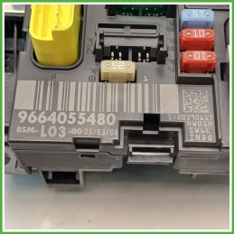 Body Computer Centralina Modulo BCM BSI DELPHI BSML0300 CITROEN C3 2a Serie 1.1 9664055480 2005 2010