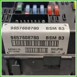 Body Computer Centralina Modulo BCM BSI DELPHI 44906115 PEUGEOT 206 1.4 9657608780 1998 2009