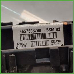Body Computer Centralina Modulo BCM BSI DELPHI 44943245 PEUGEOT 206 1.4 965798780 1998 2009