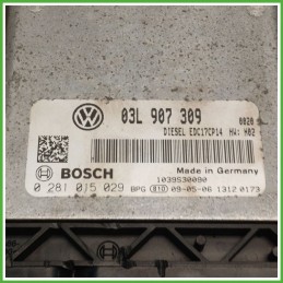 Centralina Motore Iniezione ECU BOSCH 0281015029 VOLKSWAGEN PASSAT 3C 2.0 TDI 103kw 03L907309000 2005 2010