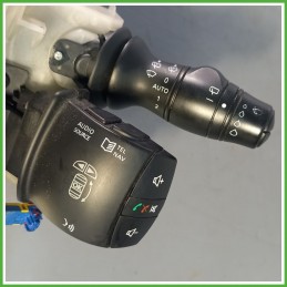 Comandi Devioguida RENAULT MEGANE 3a Serie 1.5 dCi 255670019R