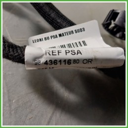 Cablaggio Elettrico Abitacolo PEUGEOT 408 5G06 1681473080 2022 YAZAKY 2M59AB4V