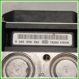 Centralina ABS Modulo Pompa BOSCH 0265234502 6Q0907379A SEAT IBIZA 6L Originale Usato