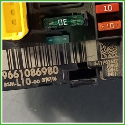 Body Computer Centralina Modulo BCM BSI DELPHI BSM-L10-00 PEUGEOT 207 1.4 9661086980 2006 2009