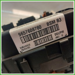 Body Computer Centralina Modulo BCM BSI DELPHI 54564432 PEUGEOT 206 1.1 9657608780 1998 2009