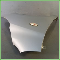 Parafango Anteriore Destra DX HYUNDAI i10 Berlina 2008 2011 GRIGIO CHIARO SLEEK SILVER METALLIC Originale Usato