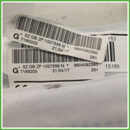 Airbag Laterale Sinistro SX PEUGEOT 208 9804092380 2015 2020 AUTOLIV 7165203