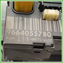 Body Computer Centralina Modulo BCM BSI DELPHI BSM-L11-00 PEUGEOT 207 1.4 9664055780 2006 2009