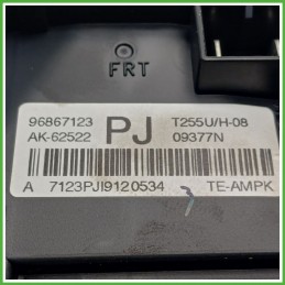 Body Computer Centralina Modulo BCM BSI TYCO AK-62522 CHEVROLET (DAEWOO) AVEO T250 1.2 96867123 2008 2012