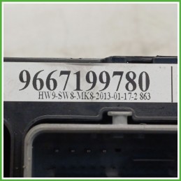 Body Computer Centralina Modulo BCM BSI VALEO R09 PEUGEOT 207 1.4 8V 9667199780 2009 2011