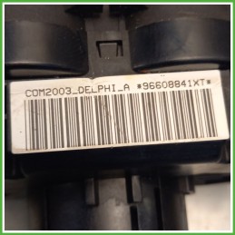 Comandi Devioguida CITROEN C3 2a Serie 1.1 96773879ZD DELPHI 12275018