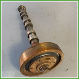 Albero a camme LAND ROVER DISCOVERY 3a Serie 276DT 2.7 LR057793 2004 2009