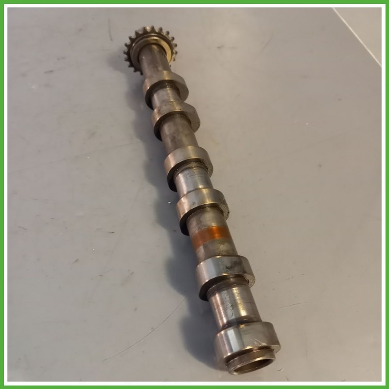 Albero a camme LAND ROVER DISCOVERY 3a Serie 276DT 2.7 LR057781 2004 2009