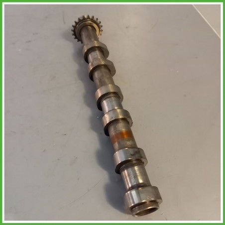 Albero a camme LAND ROVER DISCOVERY 3a Serie 276DT 2.7 LR057781 2004 2009
