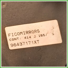 Specchio Specchietto Retrovisore Destro DX GRIGIO SIDOBRE PEUGEOT 206 1998 2009 MAGNETI MARELLI Originale Usato