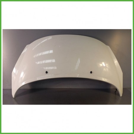 Cofano Motore EWP BIANCO BANCHISA PEUGEOT 207 2009 2011 Berlina Originale Usato