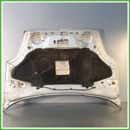 Cofano Motore GRIGIO AUDI 348 FIAT PUNTO EVO 3J 2009 2013 Berlina Originale Usato