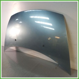 Cofano Motore GRIGIO SCURO CITROEN C3 2a Serie 2005 2010 Berlina Originale Usato