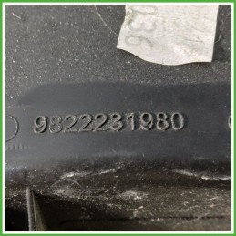 Sportello Carburante CITROEN C4 CACTUS 5 Porte 9819474980 2018 2019