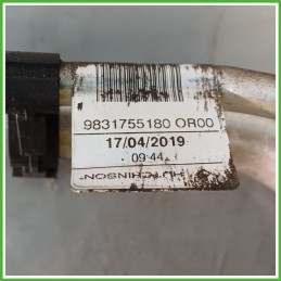 Tubo Tubazione Clima Aria Condizionata CITROEN C4 CACTUS 9818092080 2018 2019