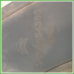 Modanatura Passaruota Posteriore Sinistro SX CITROEN C4 CACTUS Berlina 5 Porte 98194742XT 2018 2019