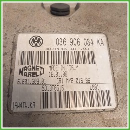 Centralina Motore Iniezione ECU Magneti Marelli IAW4TVKA Volkswagen Polo 5 Serie 1.4 Cross 16v. 036906034JC Benzina 2006-2010