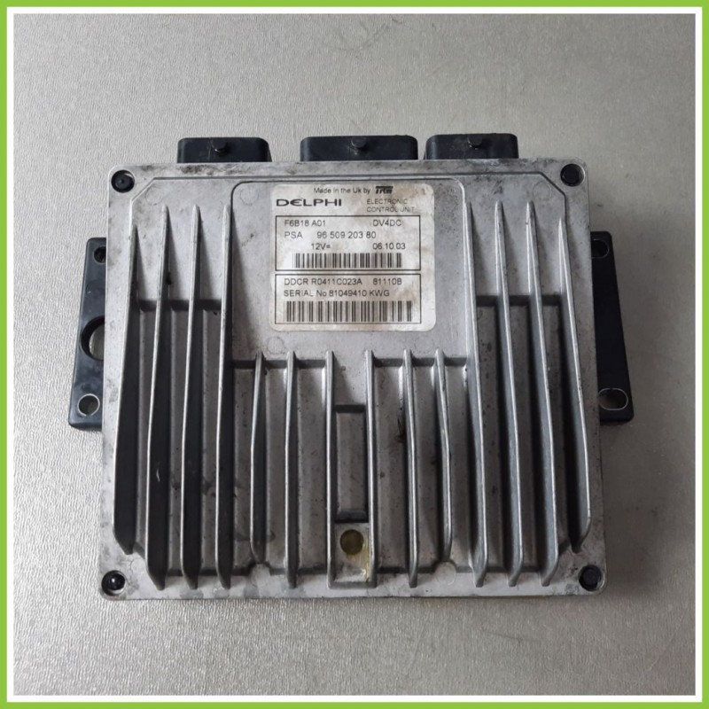 Centralina Motore Iniezione ECU DELPHI F6B18A01 CITROEN C3 1a Serie 1.4 16V HDI 9650920380 Diesel 2002 2005