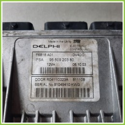 Centralina Motore Iniezione ECU DELPHI F6B18A01 CITROEN C3 1a Serie 1.4 16V HDI 9650920380 Diesel 2002 2005