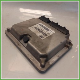 Centralina Motore Iniezione ECU Magneti Marelli IAW4AF.S2 Fiat Panda 2 Serie 1.2 GPL 51798638 Benzina GPL 2009-2010