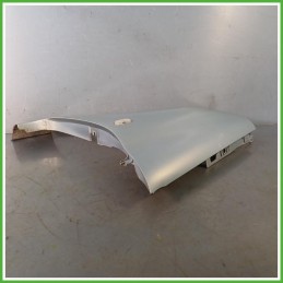 Parafango Anteriore Sinistro SX Renault Clio 2 Serie Berlina 3 Porte 2001-2008 Grigio Originale Usato