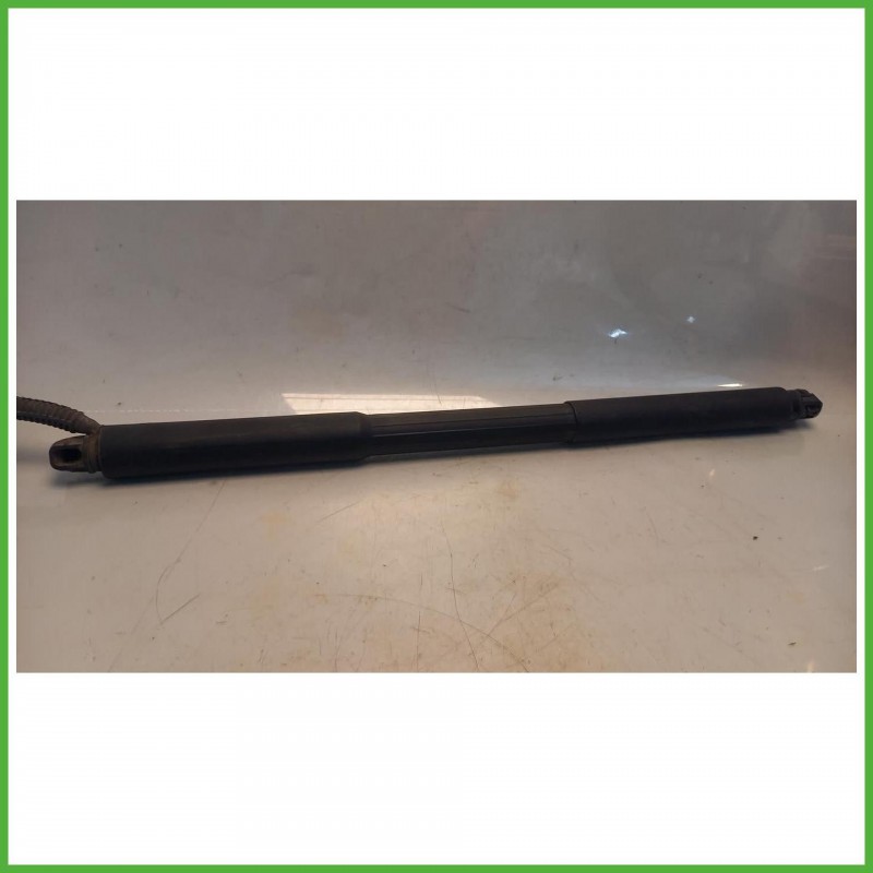 Ammortizzatori Portellone Posteriore Bmw Serie 3 F31 Touring 318d 2.0 16v. 51247263155 2012 Edscha V0038022